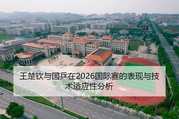 王楚钦与国乒在2026国际赛的表现与技术适应性分析
