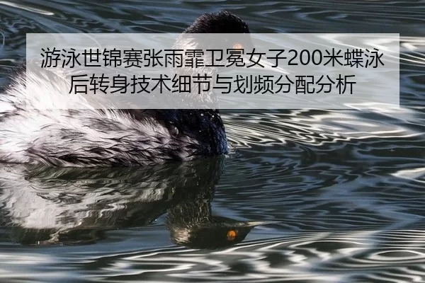 游泳世锦赛张雨霏卫冕女子200米蝶泳后转身技术细节与划频分配分析
